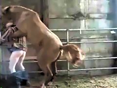 Old man put ass for horse
